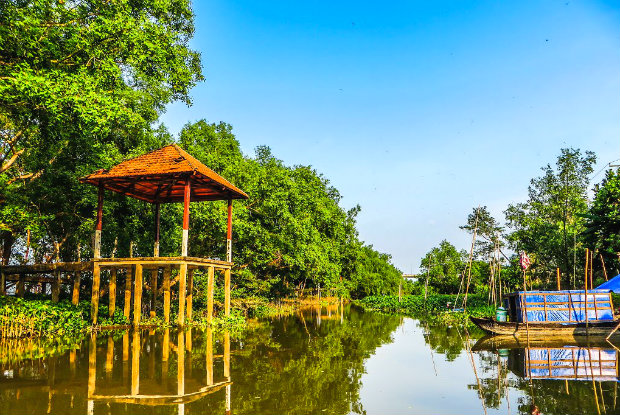 cồn ấu 2