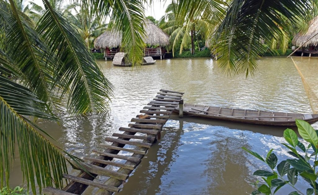 hoa súng