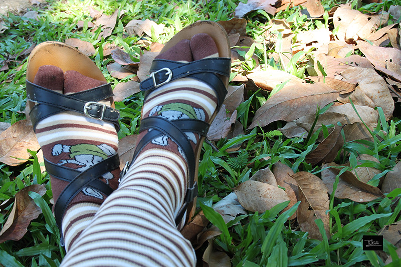 15143134643 bcd3e72f11 b