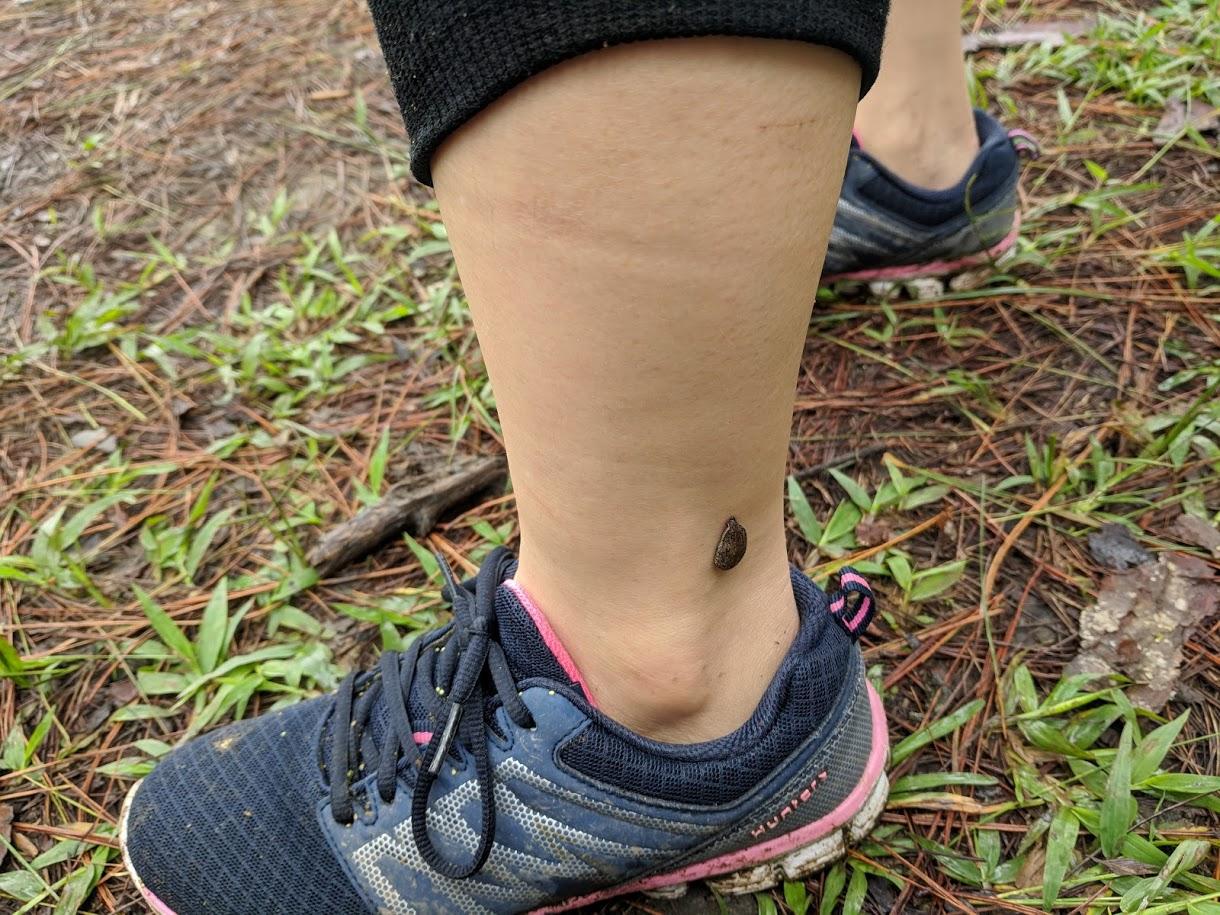 z1940153302020 73d7ec14f9aa50e80b77468e504a2c46