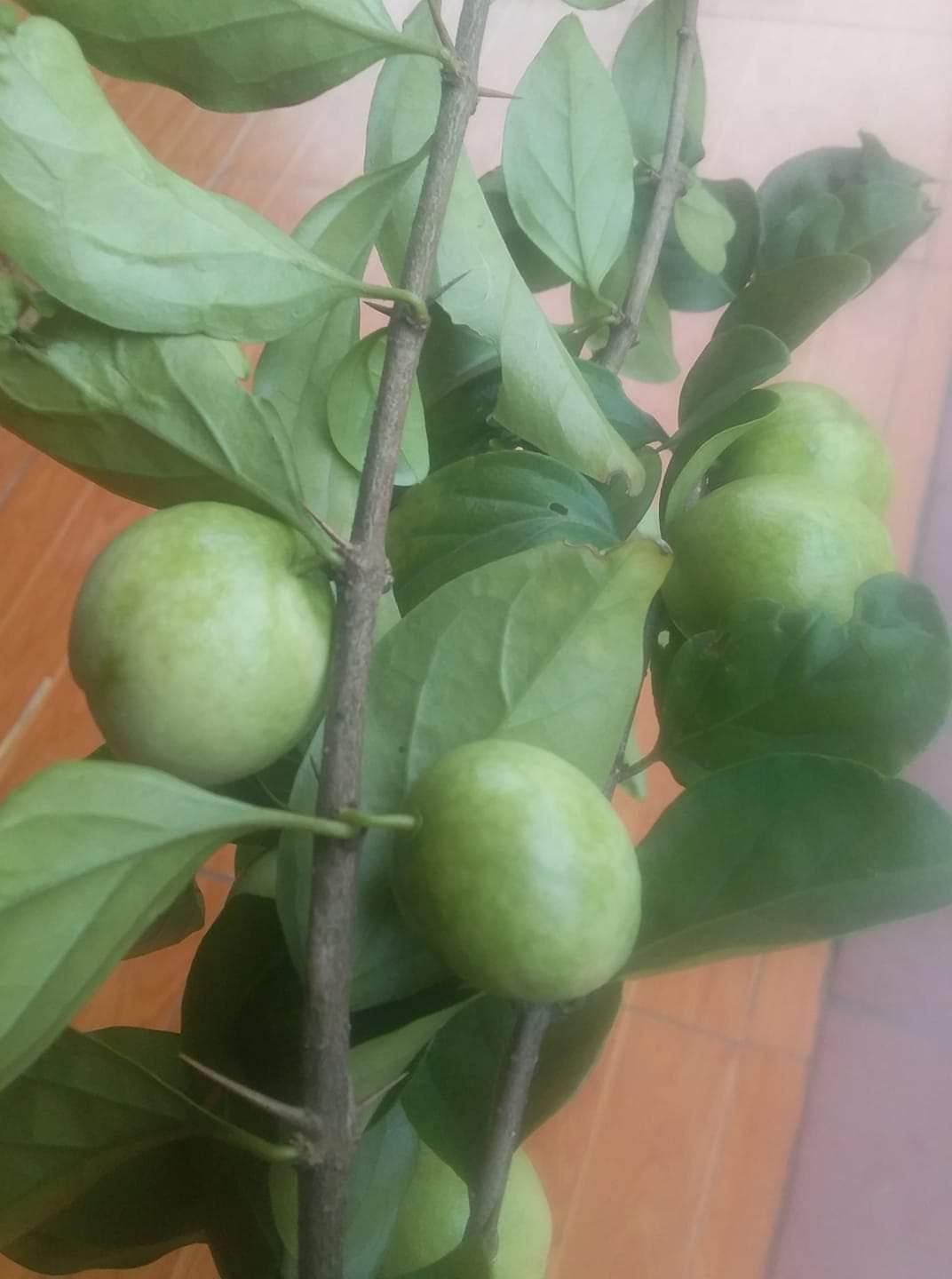 z1940189645634 868b71d26f3c7e7db2b9ae8957248d7d