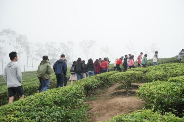 ScreenShot 20200608134439