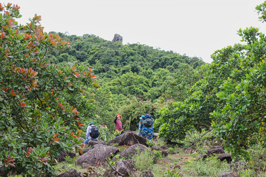 img-3-1803