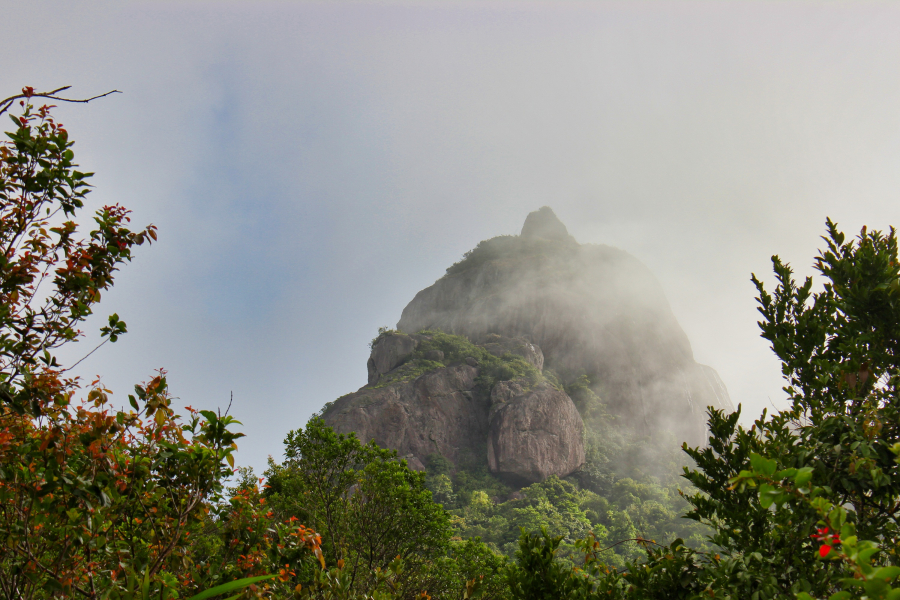 img-8-1803
