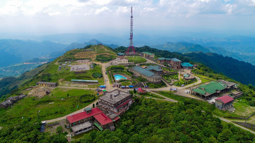 mẫu sơn