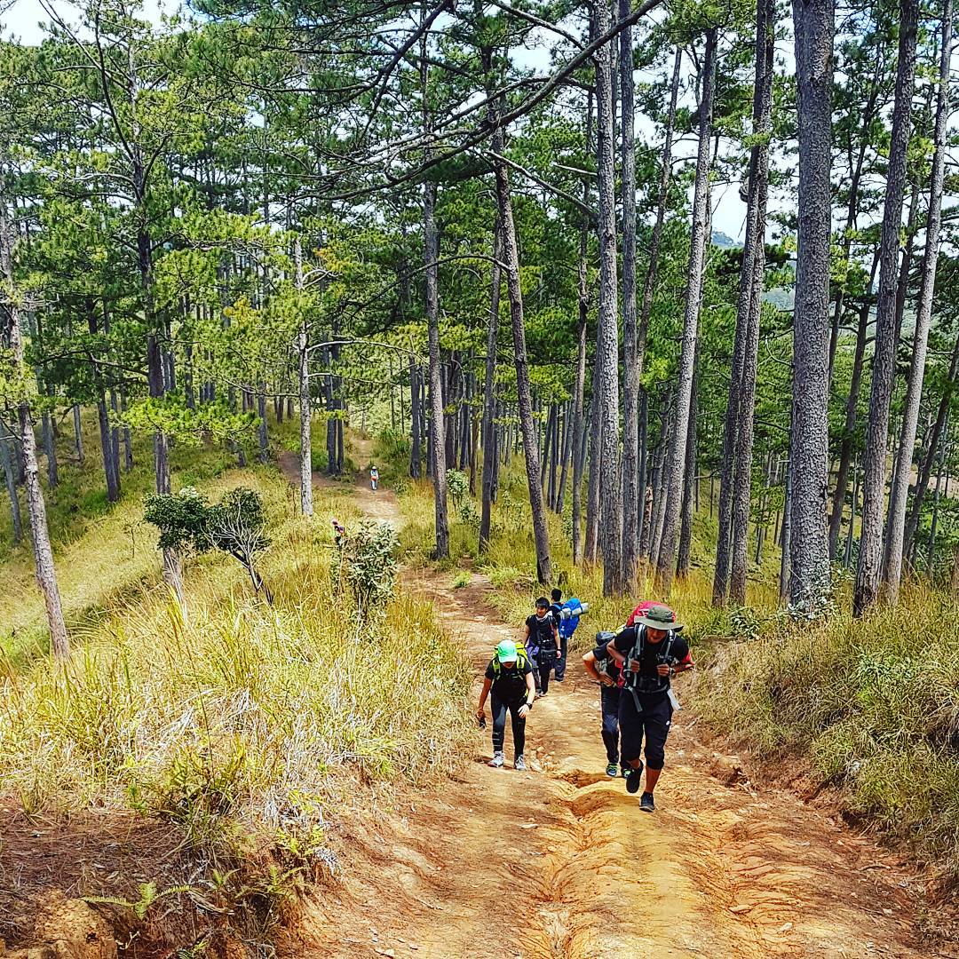 Cong-vien-quoc-gia-nui-Bidoup-2