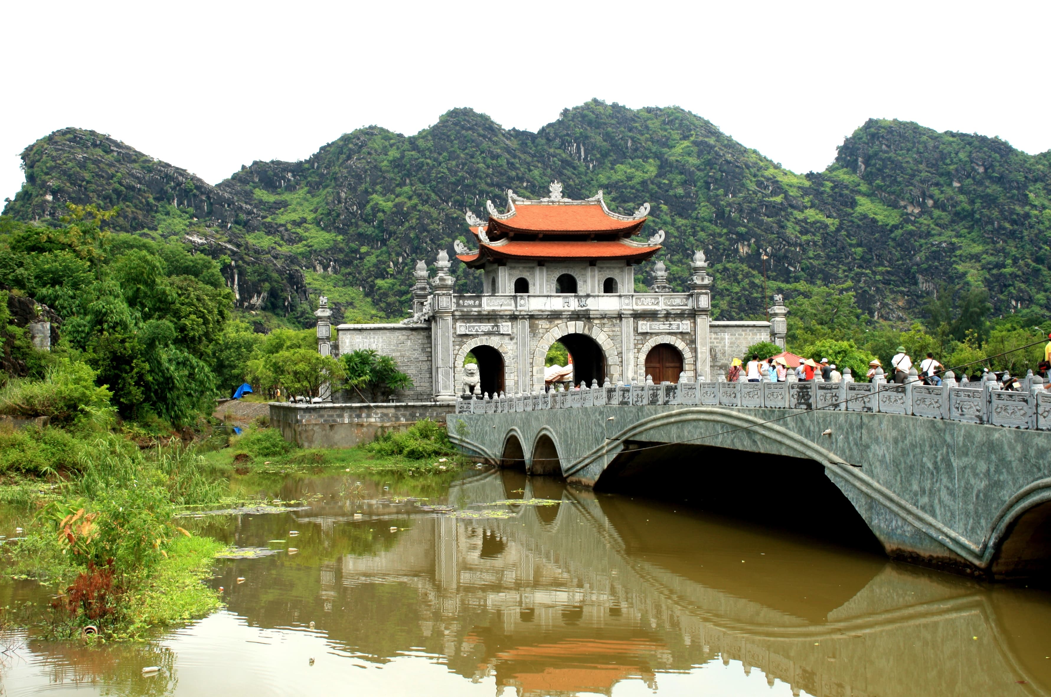 hoa lư-min