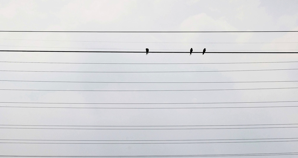 Screen Shot 2020-08-27 at 15.07.56