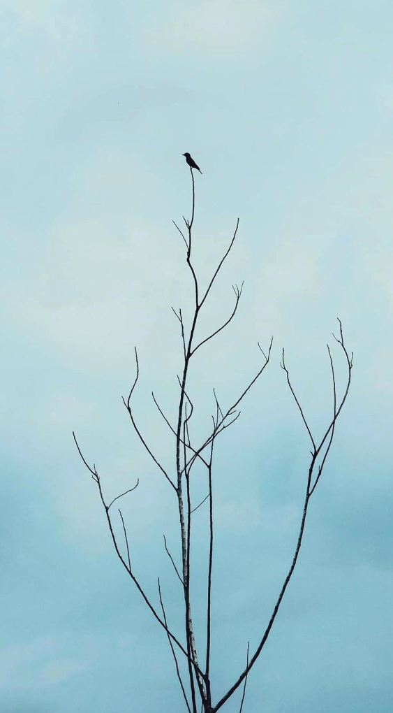 Screen Shot 2020-08-27 at 15.08.05