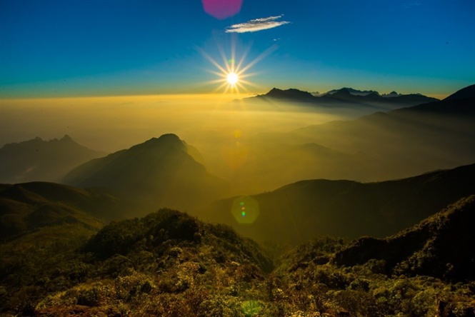 bach moc duong tu