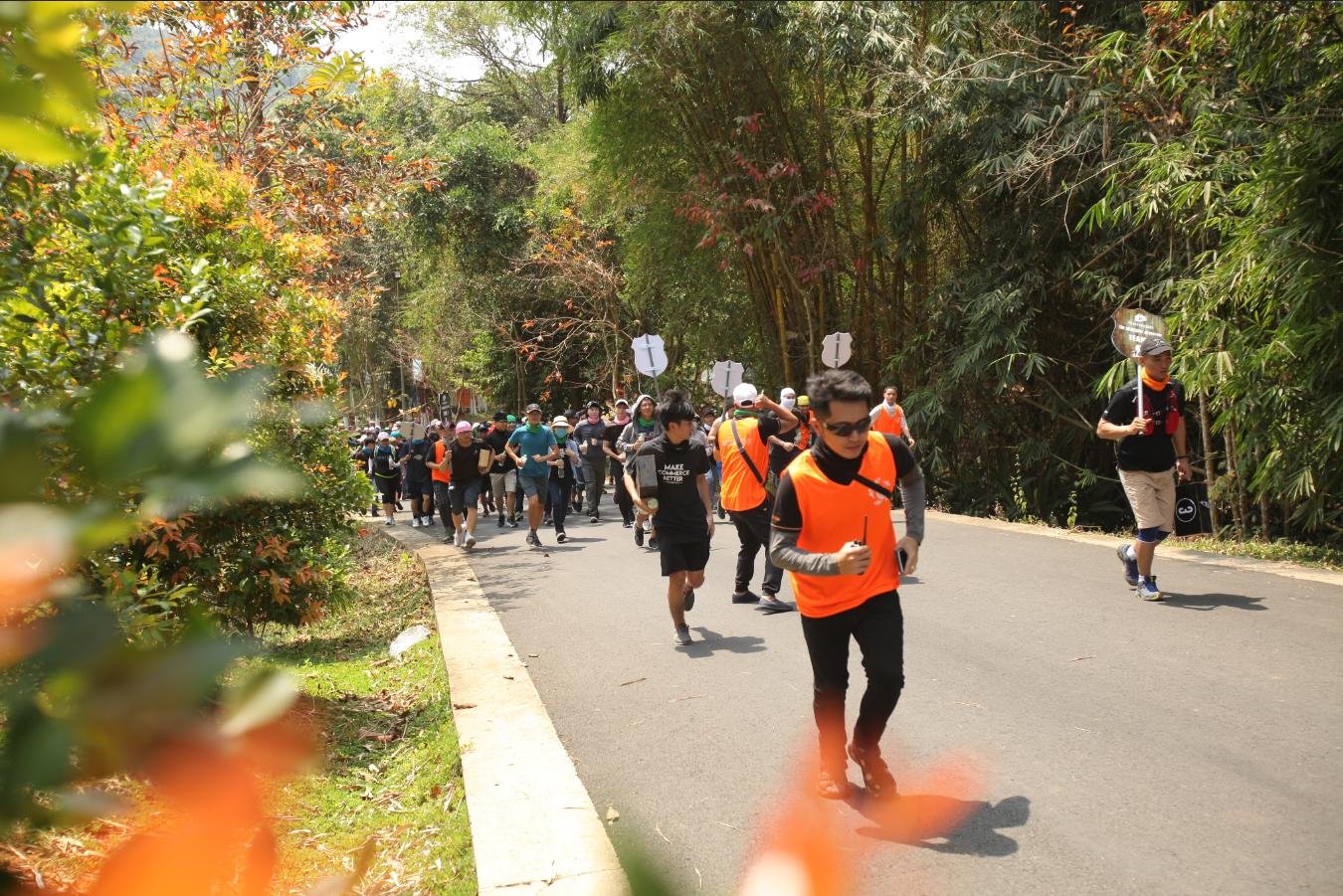 z1907166473185 014bd36beba4d1b3833890a64e59eb29