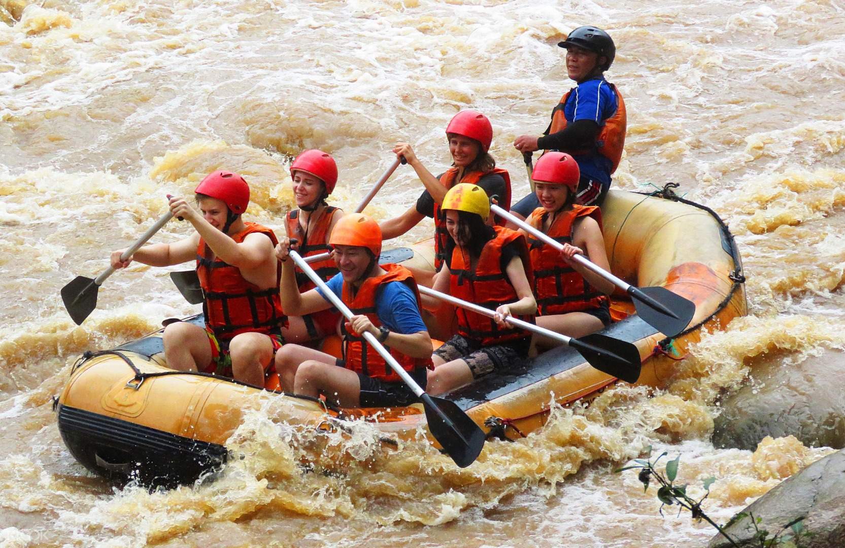 JoiningElephantSanctuarySoftTraininginChiangMaiwithOptionalATVRaftingorZiplineExperience