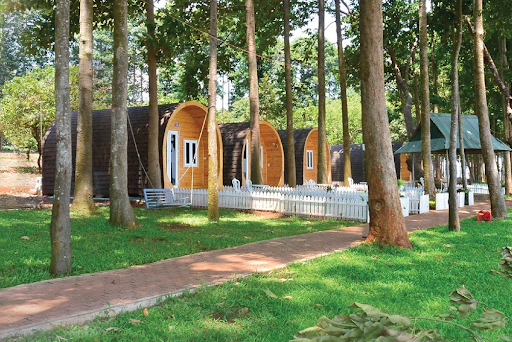 đảo ó