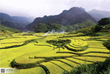 sapa