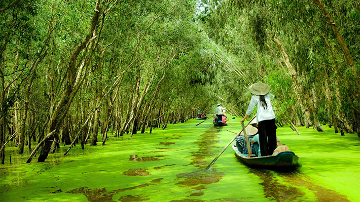 ivivu-tour-mien-tay-2n2d-ba-lua-ha-tien-tra-su-mien-tay-mua-nuoc-noi-tram-tra-su