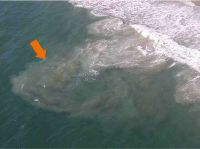 CẢNH B&Aacute;O VỀ D&Ograve;NG CHẢY XA BỜ NGUY HIỂM R&Igrave;NH RẬP KHI DU LỊCH BIỂN